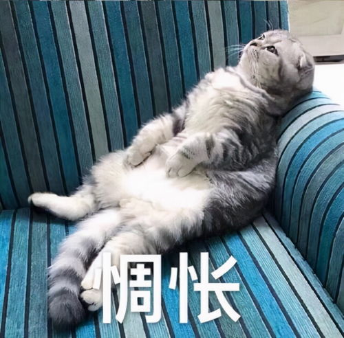 你度过的每一次愉快的假期,可能都和这个大脑有关