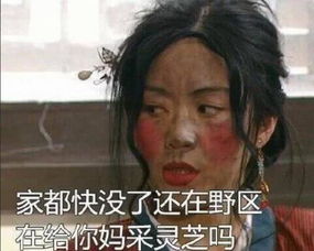 武林外传版王者荣耀表情包半天不买装备,你在跟商店还价吗