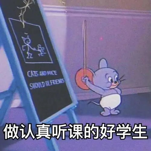 表情包去上学必备的表情包
