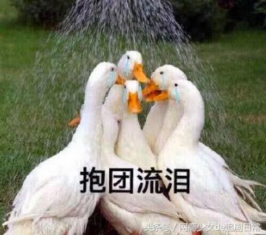 宋茜发文回应崔雪莉退出fx,宋茜雪莉关系好了吗