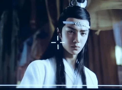 忘羡表情包蓝忘机
