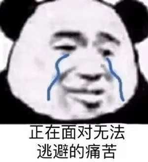 熊猫头表情包小熊猫能有什么坏心思呢