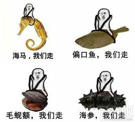 皮皮虾我们走出自哪里皮皮虾我们走表情包下载地址