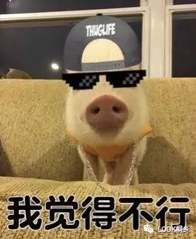 ok动图表情包人是谁