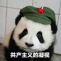 方言斗技老师有严重的口音是一种什么样的体验