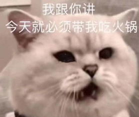 锅表情包锅微信表情包锅qq表情包发表情fabiaoqing.com