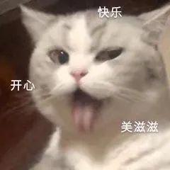 可爱萌宠沙雕表情包不要贴贴贴贴危险容易密接