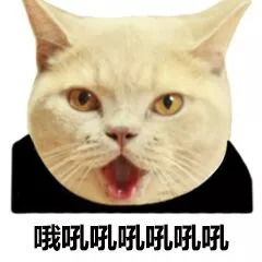 今日份的可爱表情包