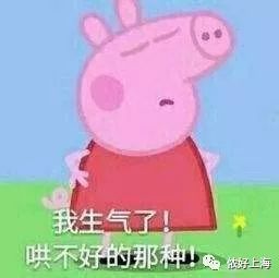 全体上海人明后天降温10度大风雷电强降水一起来啦