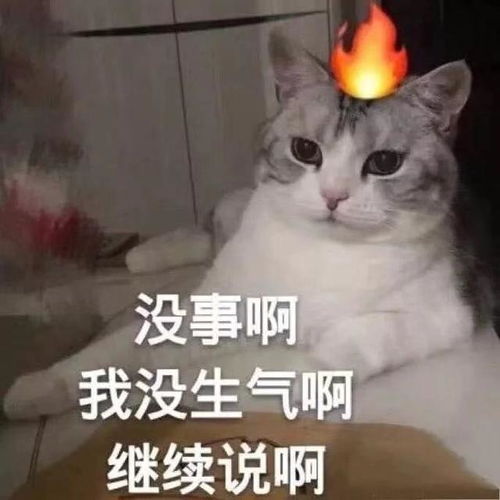 表情包你说的话我都记得,只是不再相信了