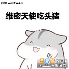 今天少吃一块肉明天维密我走秀表情包仓鼠版下载乐游网游戏下载
