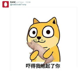 川普的一句话炸了奥巴马炸了五角大楼也炸了自己