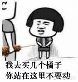 我去买几个橘子你就站在此地不要走动是什么梗