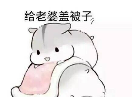 爱老婆宠老婆的表现图片表情老婆奴专用表情包