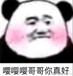 追哥哥表情包借我十五块买奶茶,还不起就当你女朋友
