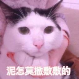 你快变成富婆吧我不想努力了你们要的富婆表情包富婆熊猫头表情