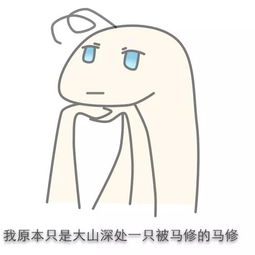 求这种aph魔性的表情包谢了www