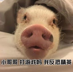 小哥哥一起打游戏嘛我98k消音