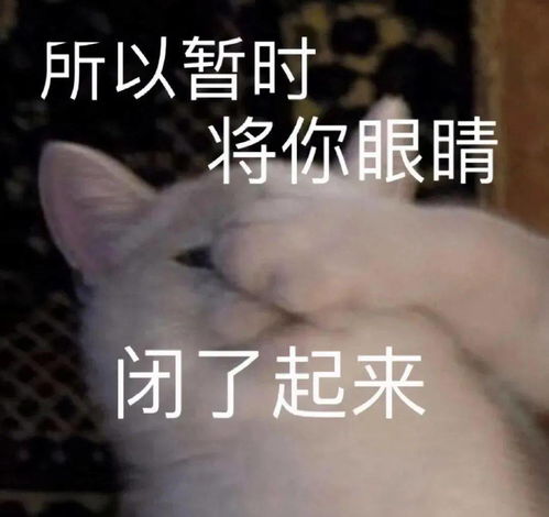 来一波敲搞笑表情包