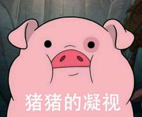 某家长因自己孩子看动画学猪叫呼吁不要再让宝宝们看