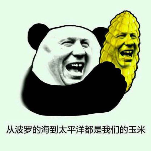 像这种表情包的人脸怎么制作的