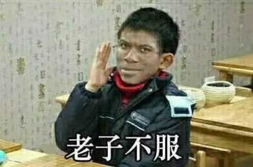 葵花点穴手表情包犯人