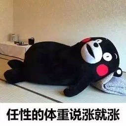 这是什么卡通人物感觉特别有趣