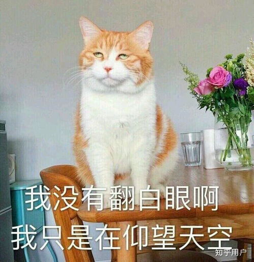 咸鱼表情包蓝色灵儿