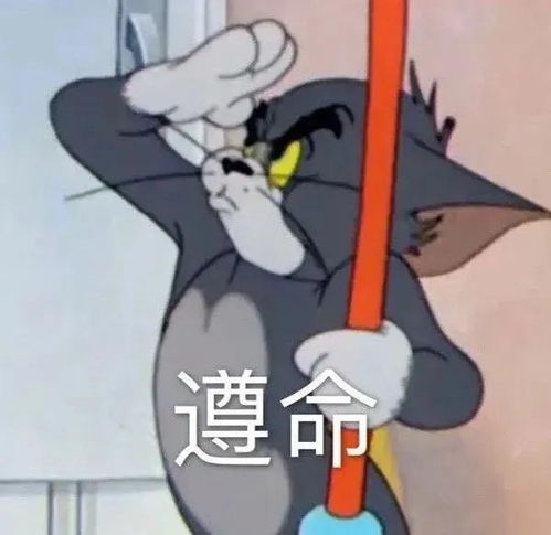 表情包记住了劳资无敌