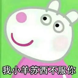 拼购的当,你上过了吗