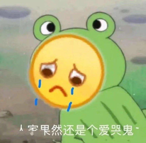 开心的表情包加倍