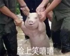 倒霉到极致是什么体验原谅我笑出了猪叫哈哈哈