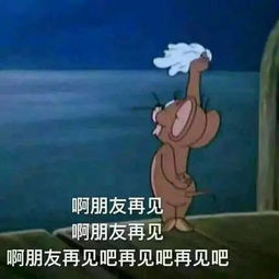 媒有活动终于还是走到这一天