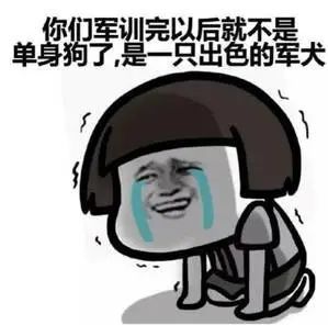 表情军训表情包搞笑