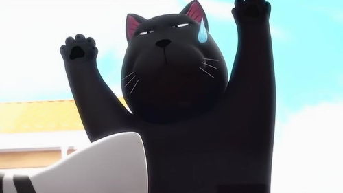 甜甜私房猫大黑来找小奇做什么呢整个人爬在窗户上,真好笑