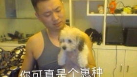 震惊药水玛莎拉蒂被偷
