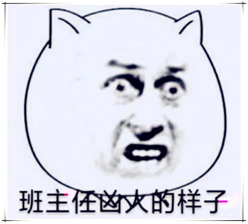 偷偷欣赏班主任的表情包,形象又搞笑,网友好想发给班主任