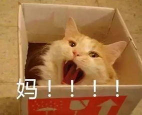 孩子未考到95分,被扔在高速口,妈妈就算坐牢也不要你了