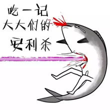 年轻人,千万不要轻易来海宁