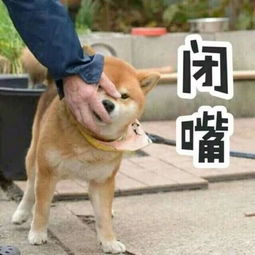 放假通知