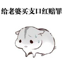 给女朋友道歉的正确方式,这组表情包请转给有需要的人