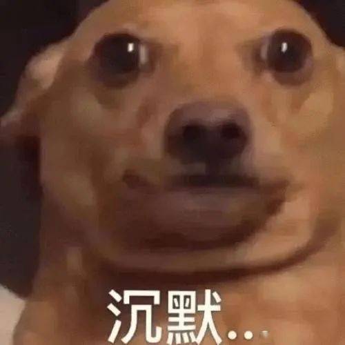 bc省风暴再度来袭奶牛和鸡做错了什么