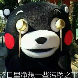这周,青岛大风降雨降温,最低气温14