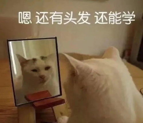 八天小长假你不回家的原因,竟然是......
