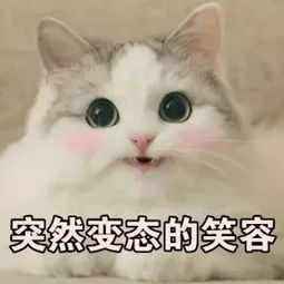 建大朋友圈520来临大声说出你的爱
