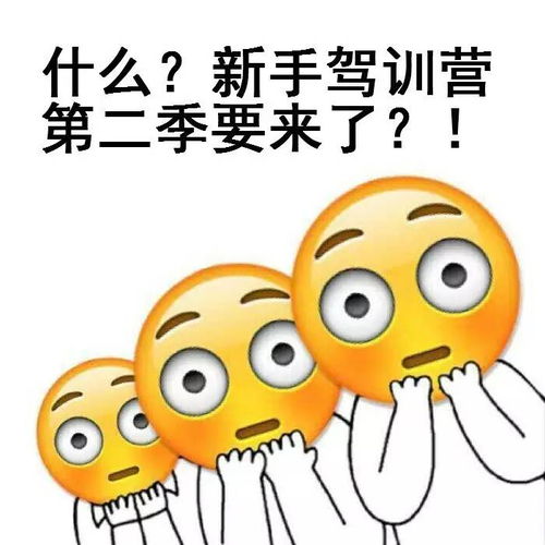 表情包傅园慧向你招手了泥石流所为何事