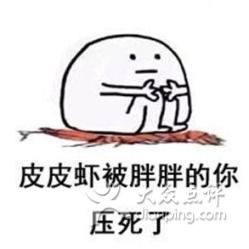 皮皮猪表情包图片头盔