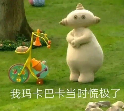 普大喜奔表情包花园宝宝