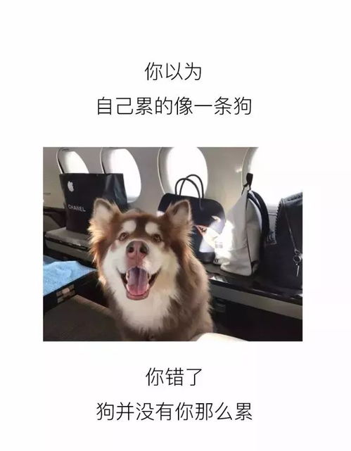 朋友圈里最扎心的话,你以为是什么