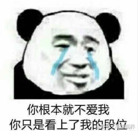 王者荣耀表情包你根本不爱我只是看上了我的段位